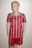 14 Legea-Fußball-Trikot-Sets - BROADWAY grau /rot