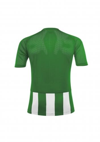 Sport -Kurzarm-Trikot - JOHAN JERSEY v. Acerbis , grün- weiß
