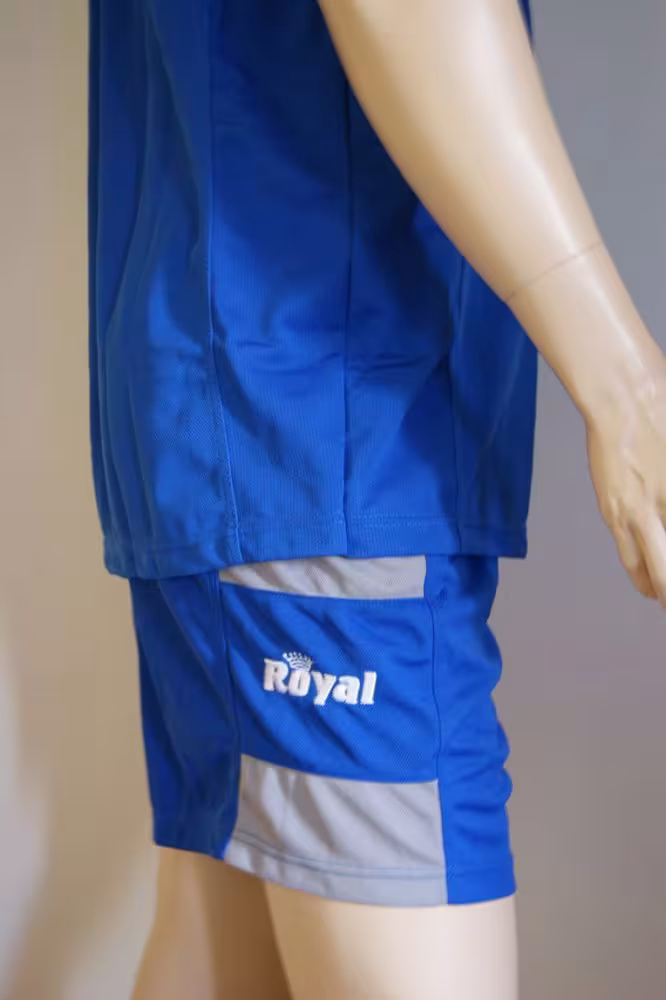 14 Fußball-Trikot-Sets - POLARIS -von ROYAL azur / grau - POLARIS Trikot-Set v. ROYAL