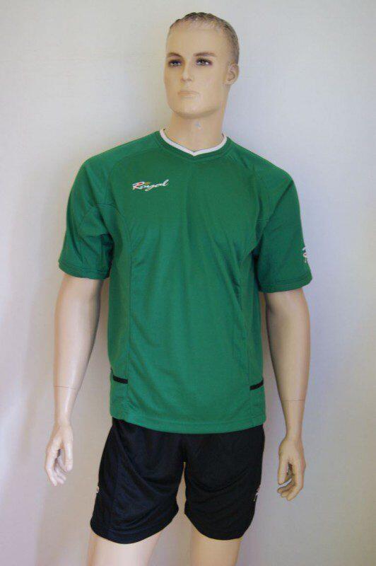 FENIX Trikot-Set v. Royal