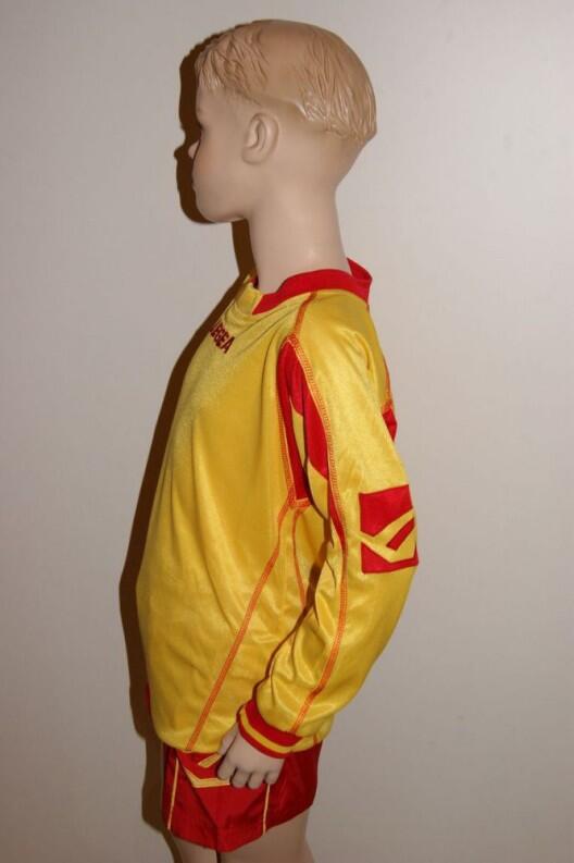 LUGANO Trikot-Set v. LEGEA