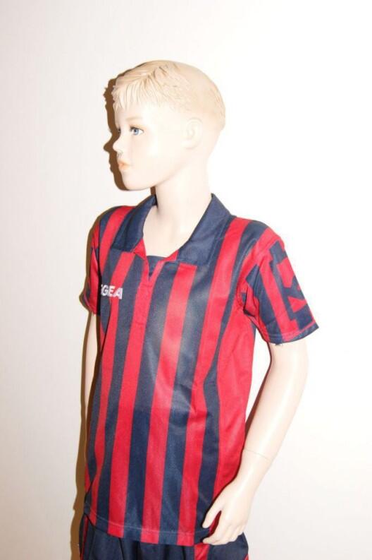 14 Legea-Fußball-Trikot-Sets - BROADWAY rot / blau - BROADWAY Trikot-Set v. LEGEA