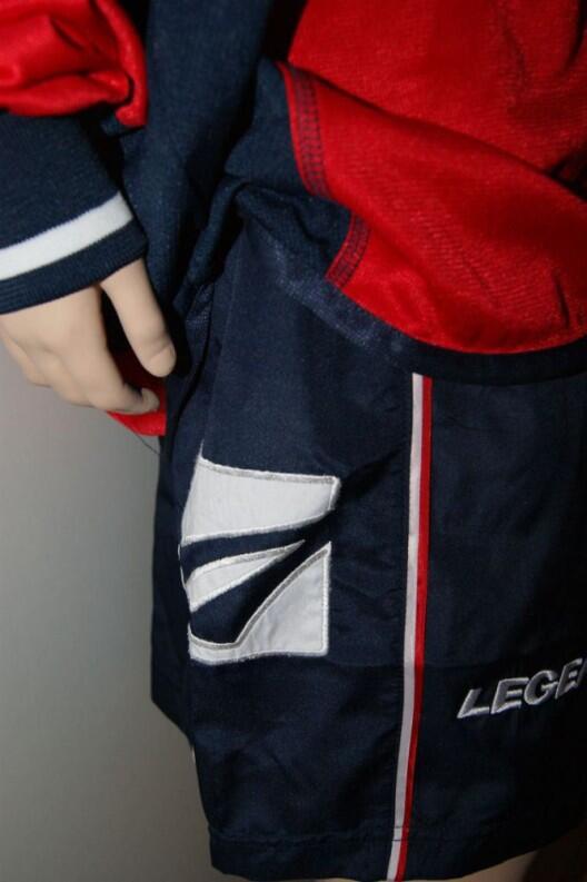 LIPSIA Trikot-Set v. LEGEA