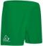 Rugby Shorts FEROX v. Acerbis , grün , 4XS-4XL