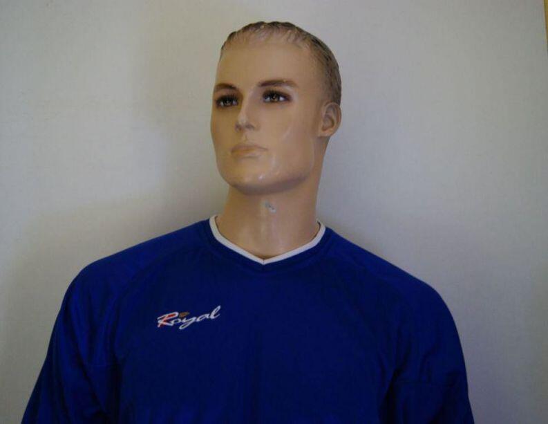 FENIX Trikot-Set v. Royal